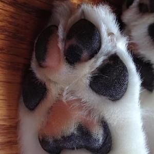 Meet your Posher, Elle